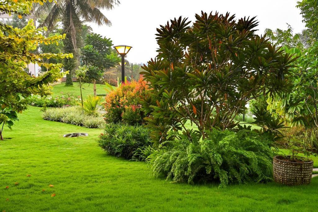 Villa Woods & Palms Pollāchi Dış mekan fotoğraf