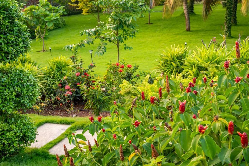 Villa Woods & Palms Pollāchi Dış mekan fotoğraf